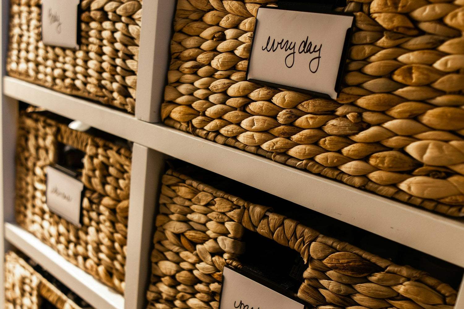 Organization & Storage