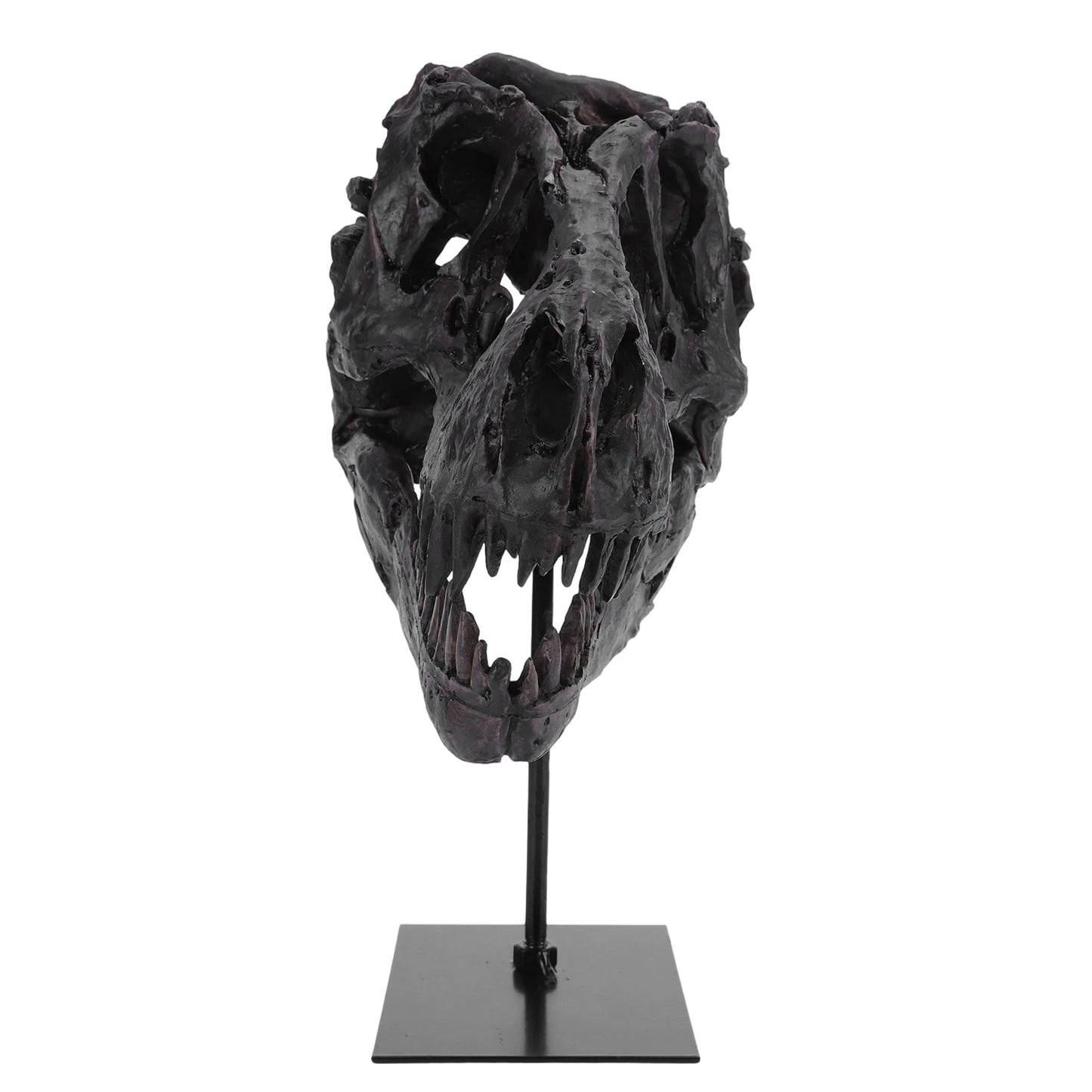 Dinosaur Fossil Figurine Resin Replica Head Sculptures with Bracket Skull Sculptures Home Office Decorations