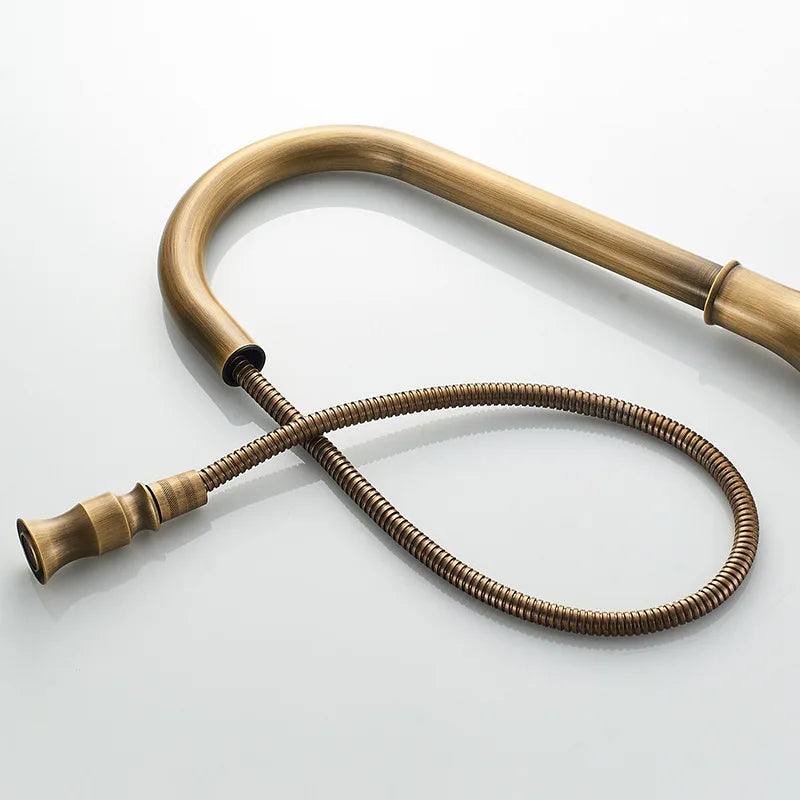 Alenartwater Brass Kitchen Faucet Single Handle Pull Out Tap