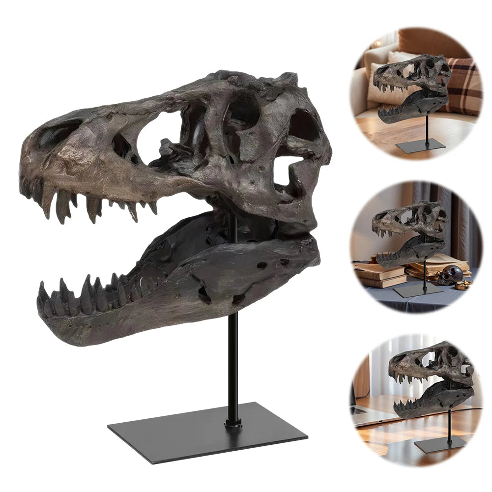 Dinosaur Fossil Figurine Resin Replica Head Sculptures with Bracket Skull Sculptures Home Office Decorations