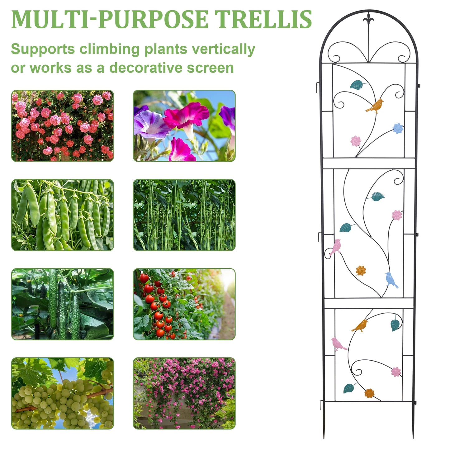 Outdoor Metal Garden Trellis For Climbing Plants