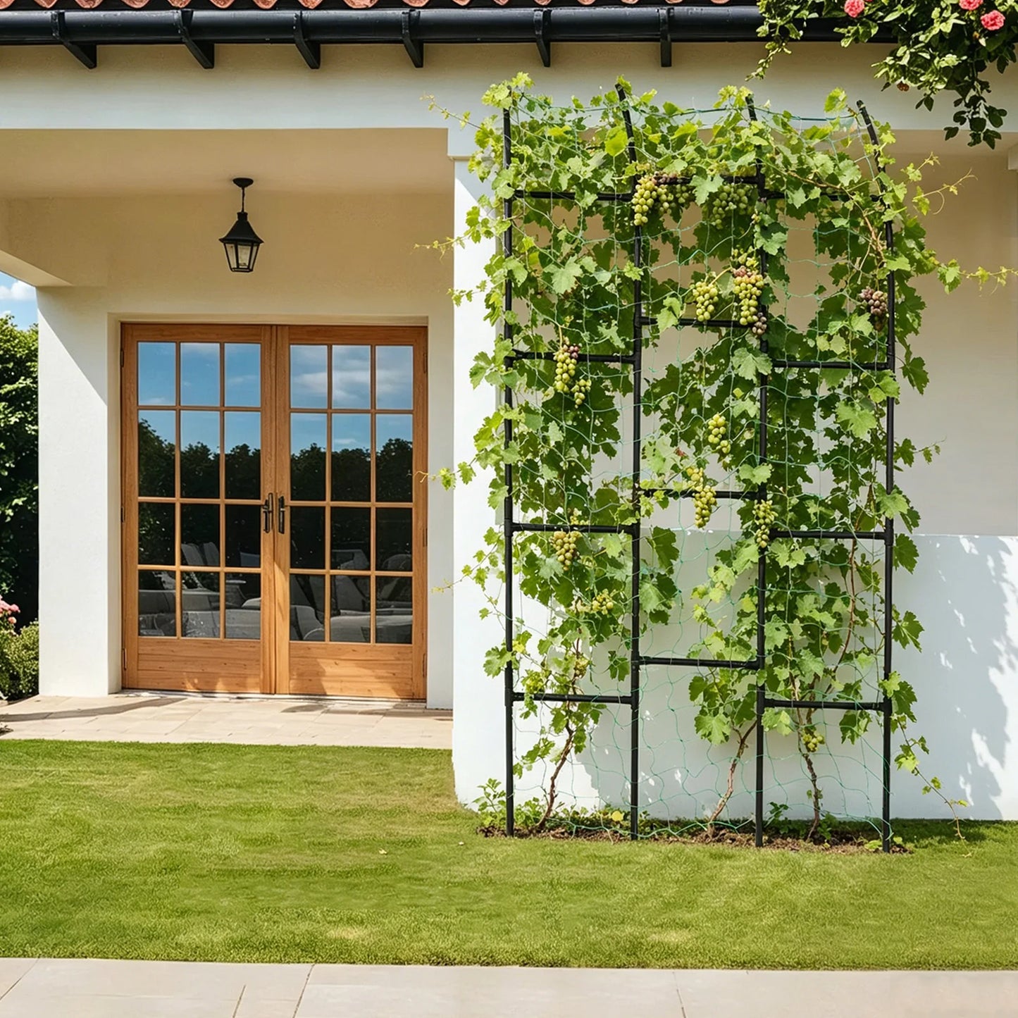 Metal Garden Arch Trellis For Vegetables And Climbing Plants