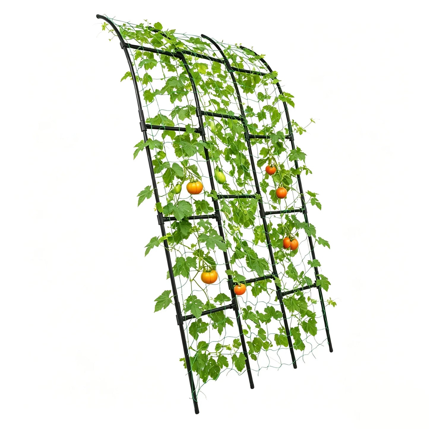 Metal Garden Arch Trellis For Vegetables And Climbing Plants