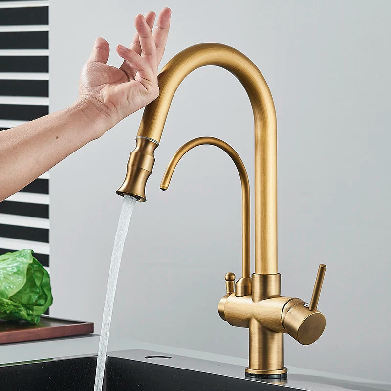 Alenartwater Brass Kitchen Faucet Single Handle Pull Out Tap
