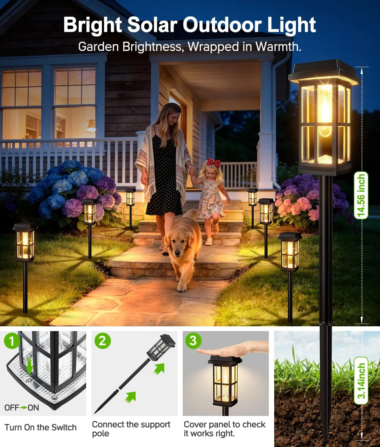 Solar Powered Pathway Lights . 8 Pack IP65 Waterproof Auto On Off Outdoor Landscape Lighting.   Decorative Solar Garden Lamps for Patio Lawn Walkway Driveway Yard