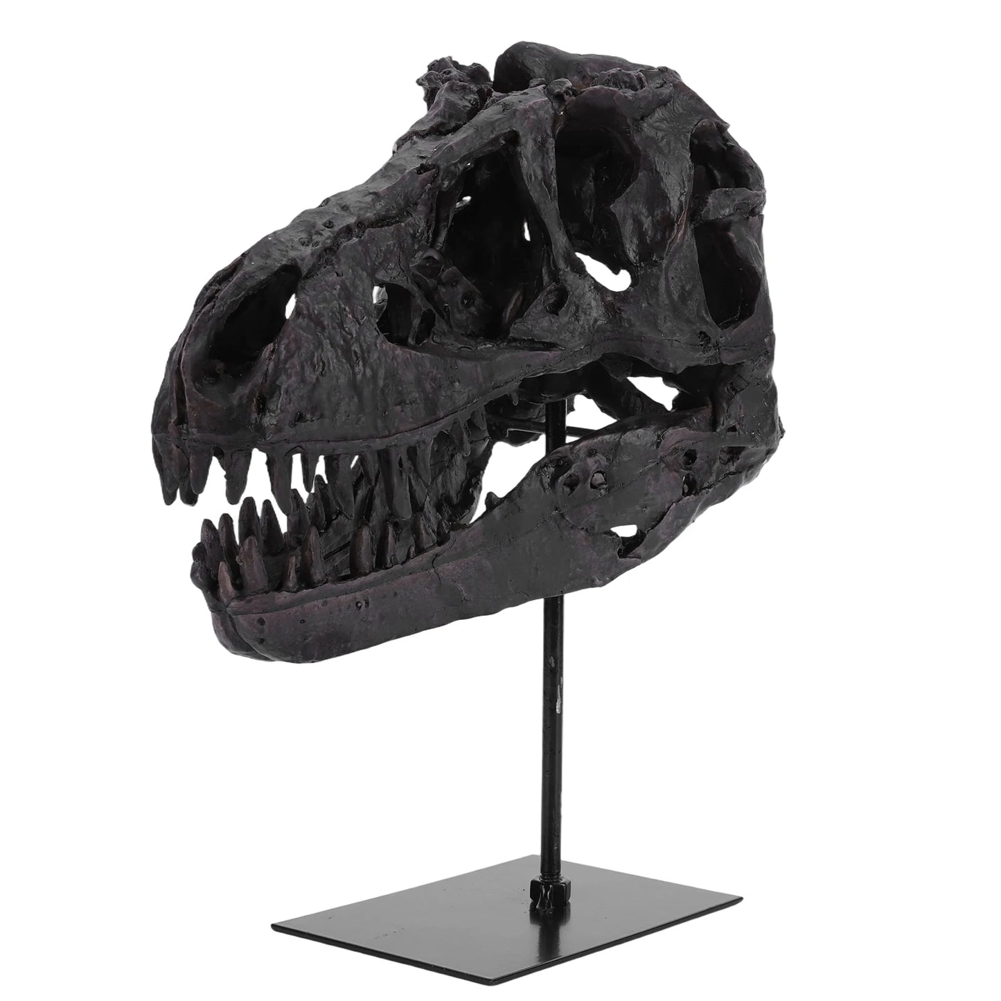 Dinosaur Fossil Figurine Resin Replica Head Sculptures with Bracket Skull Sculptures Home Office Decorations
